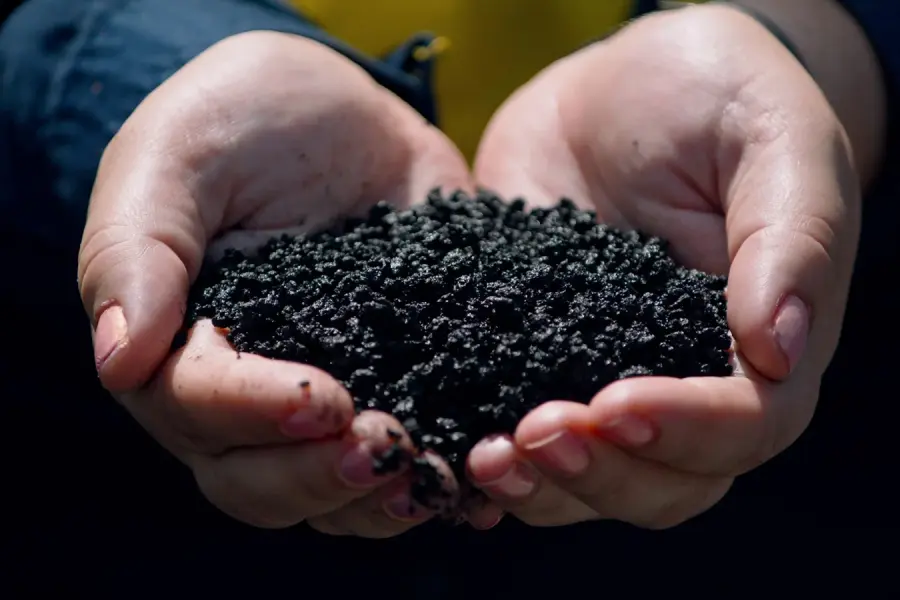 Biochar : fabrication, séquestration du carbone et usages